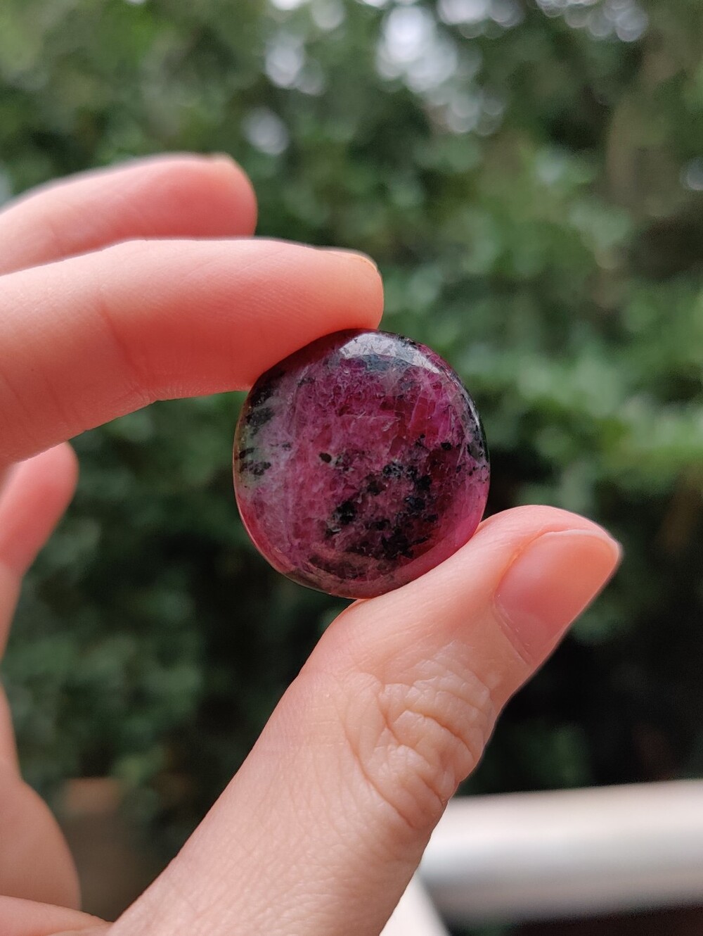 Polished Round Ruby In Zoisite